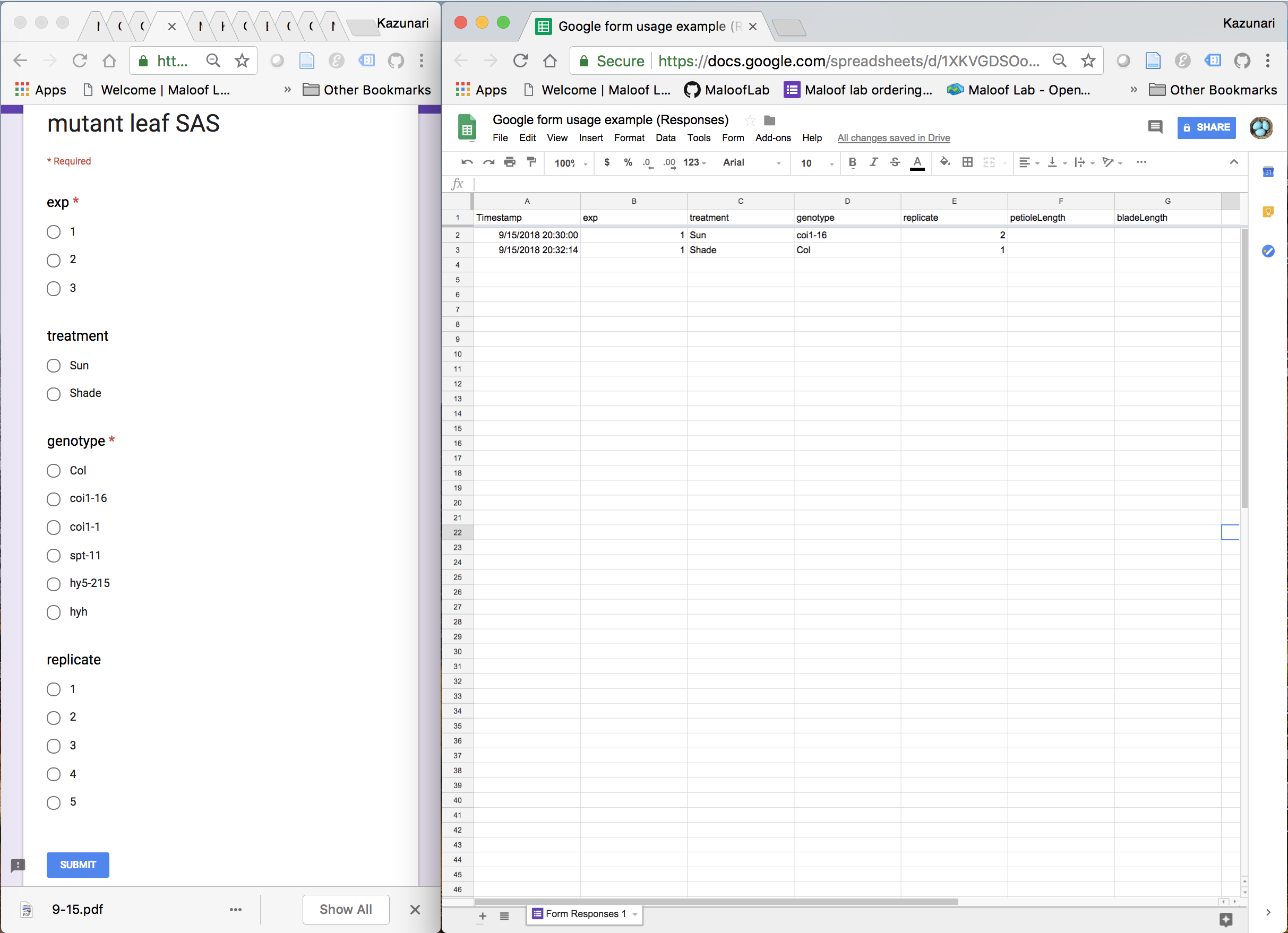 Fig.2. Google Form as a data input tool