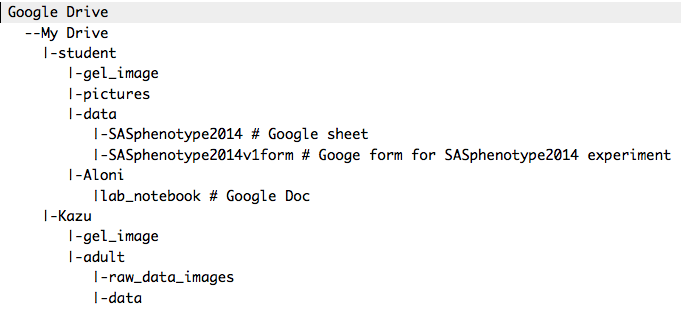 Fig.1. Google Drive directory example1