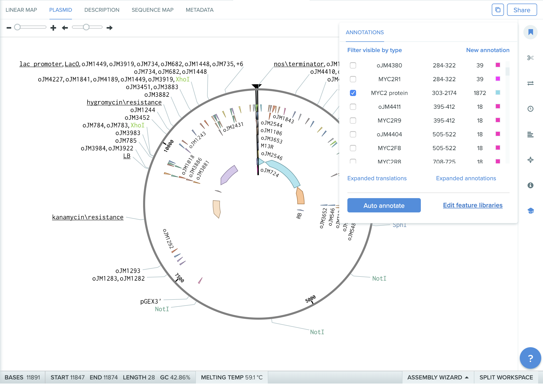 benchling.com plasmid annotation (step1)