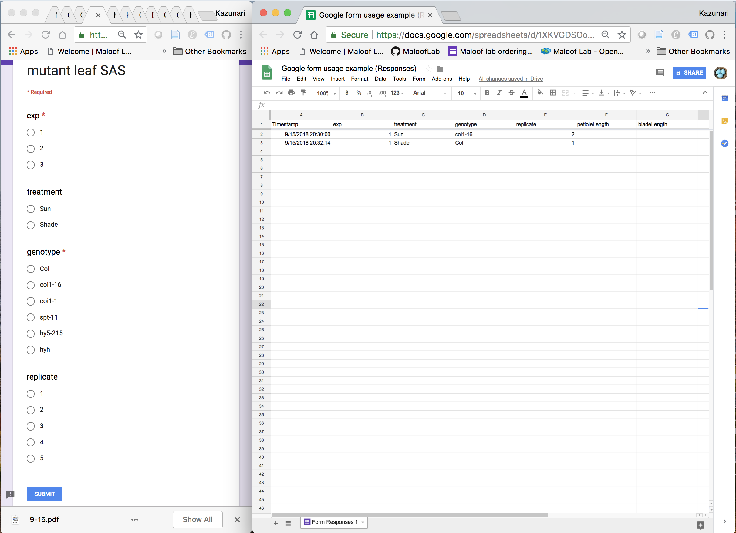 Fig. 2. Google Form as a data input tool