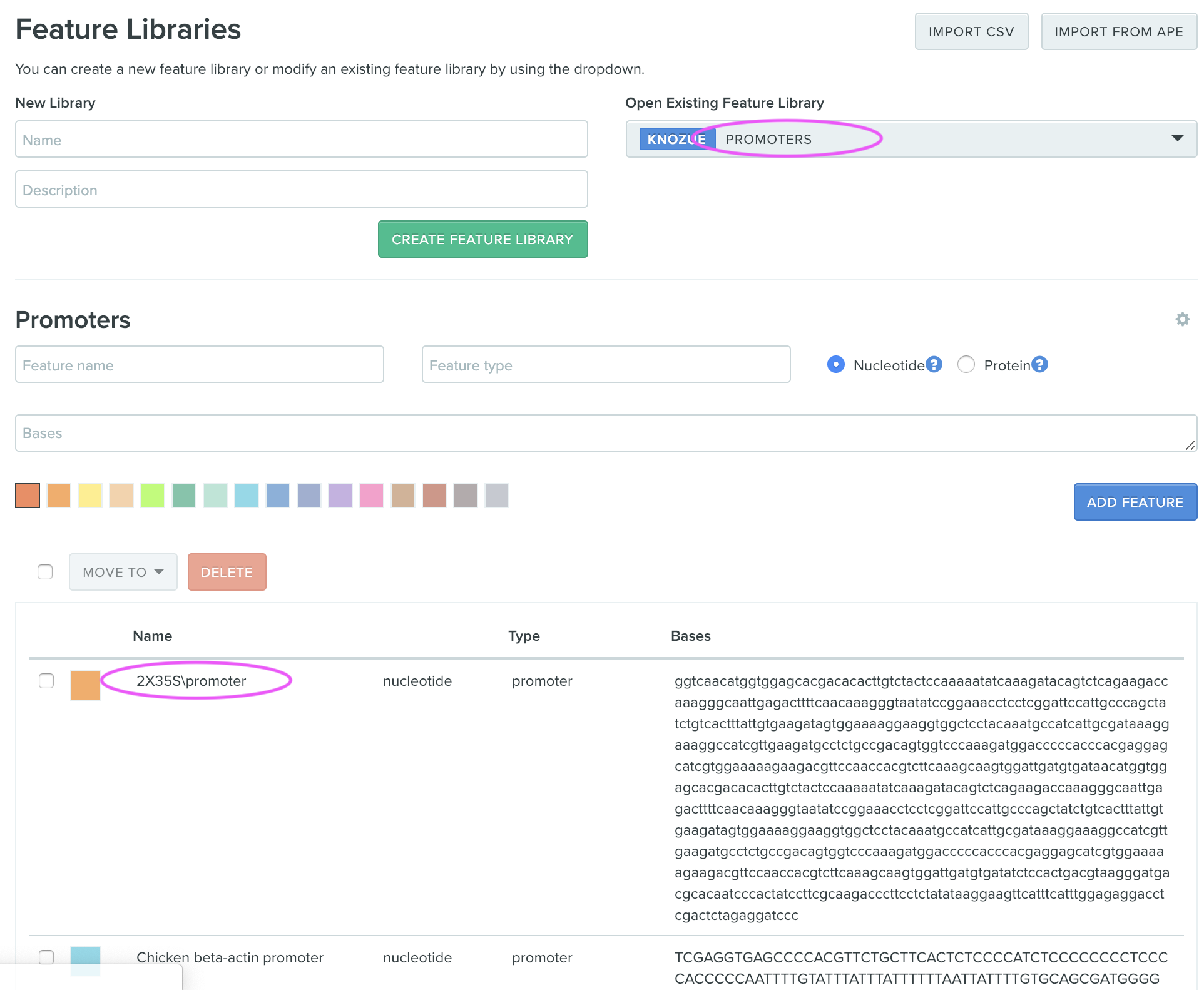 benchling.com plasmid annotation (step3)